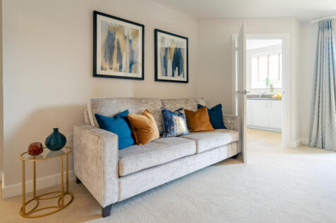 Show home living room